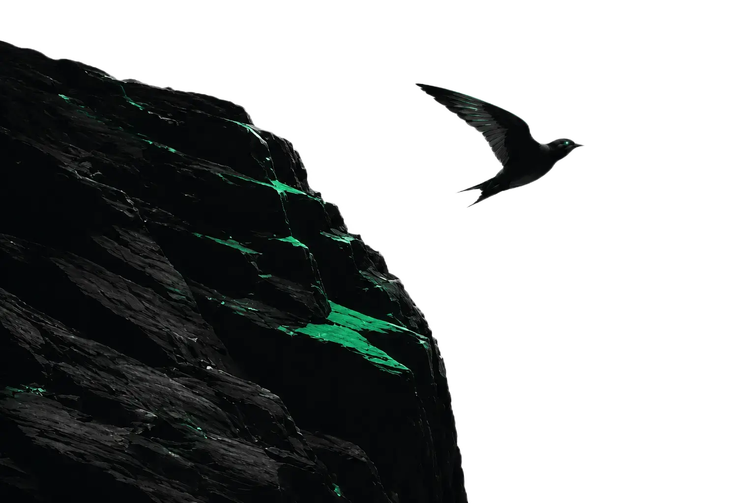 Talki bird soaring past a green-lit rock